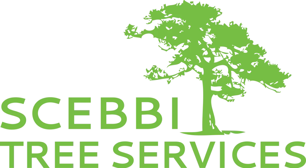 Scebbi Tree Services logo, light green